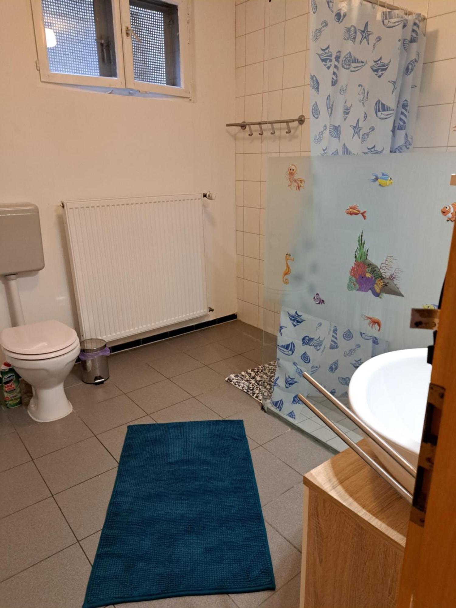 Wohnung Mit 2 - 3 Zimmern Ballenberg Eksteriør billede