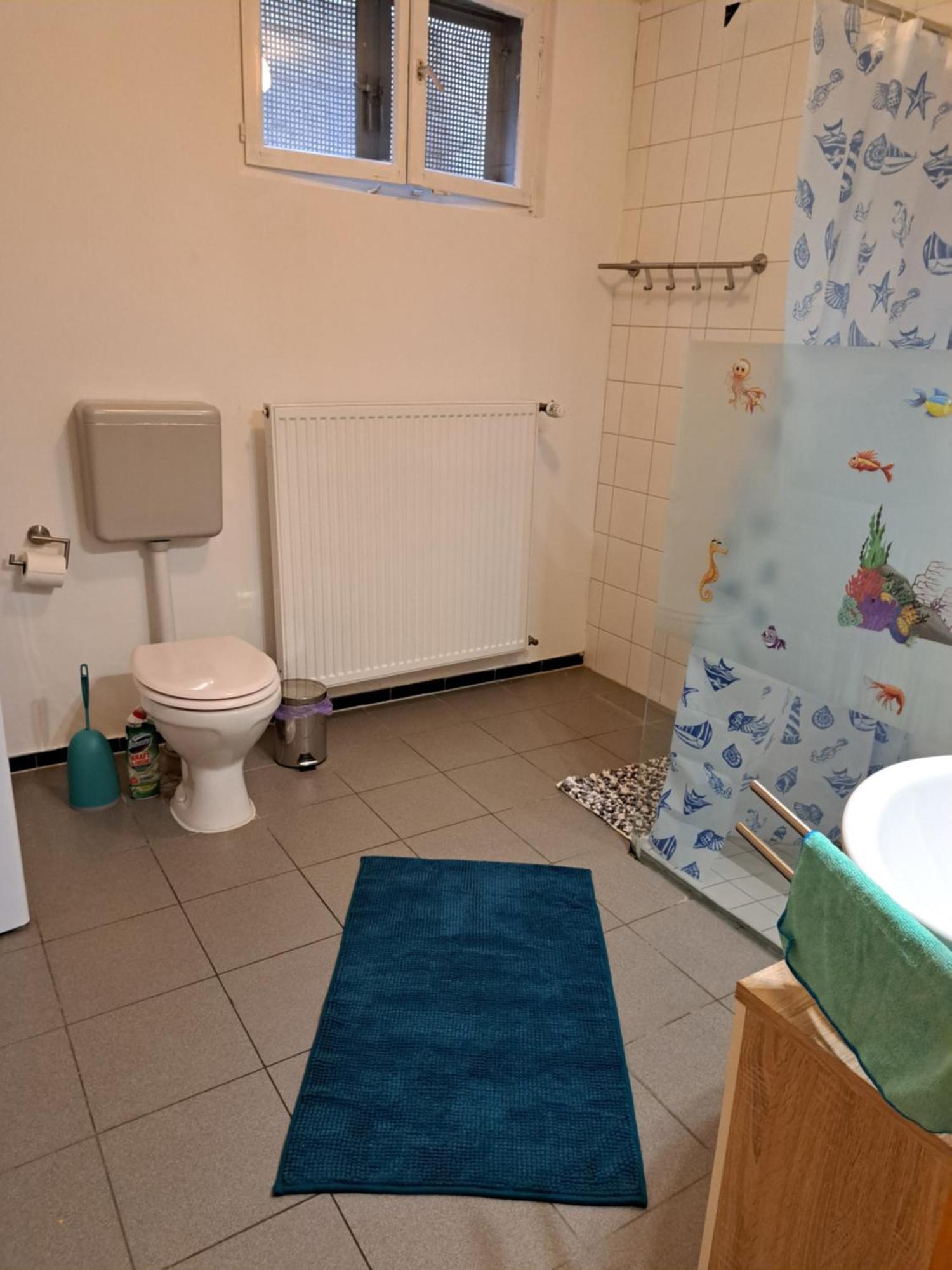 Wohnung Mit 2 - 3 Zimmern Ballenberg Eksteriør billede